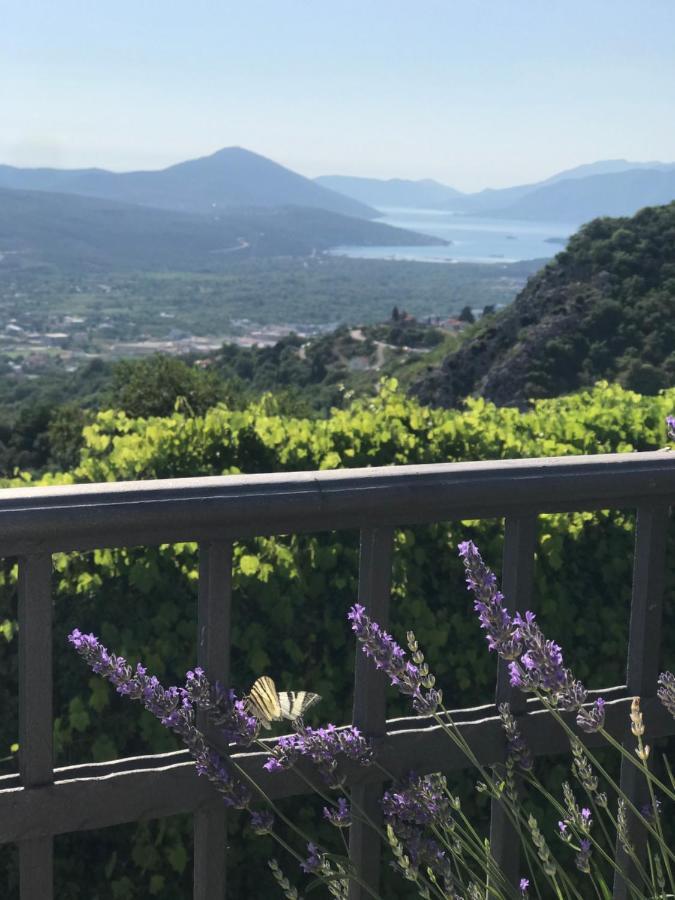 Villa Nikoleta Kotor Bagian luar foto