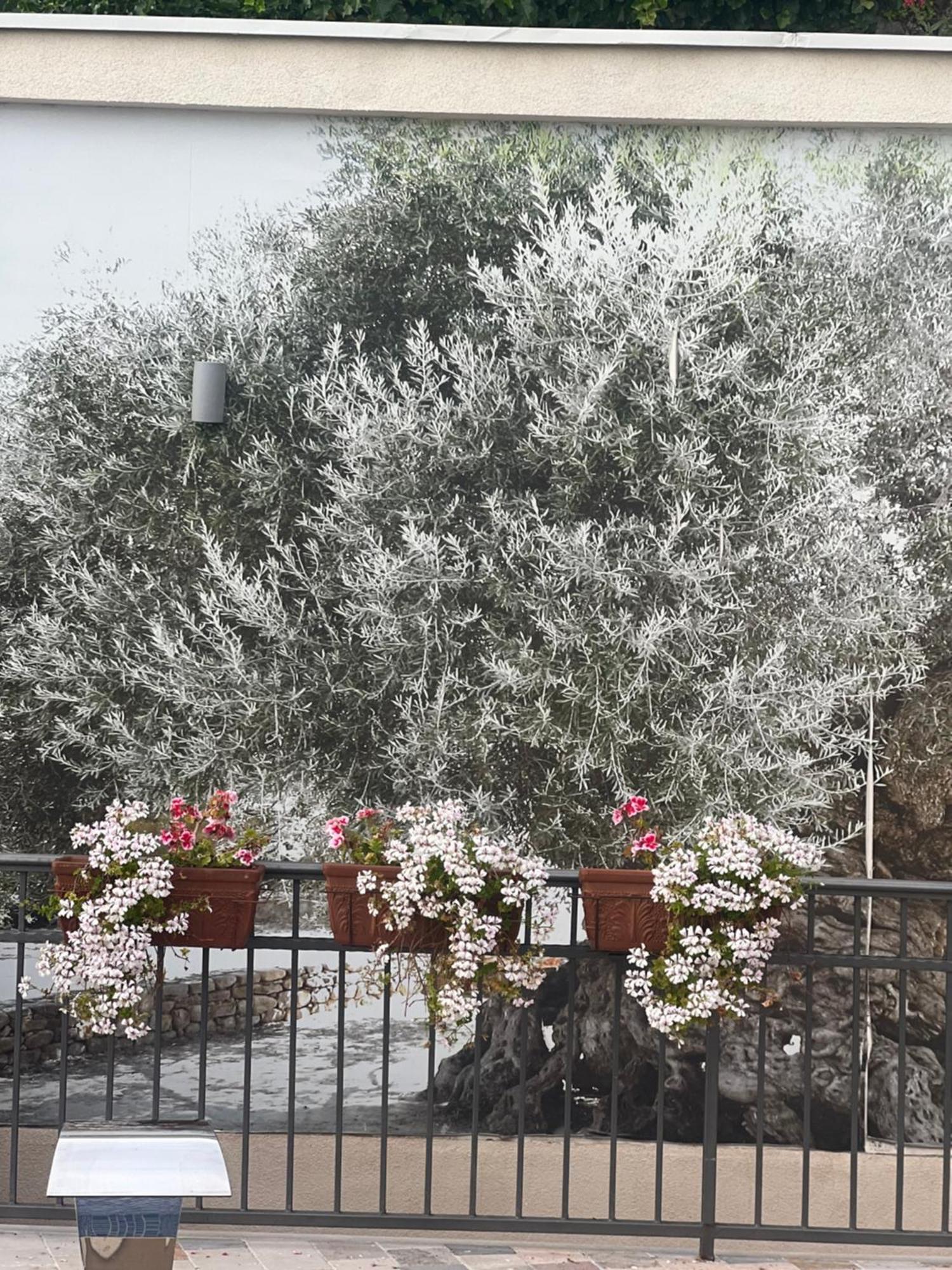Villa Nikoleta Kotor Bagian luar foto